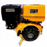 MOTOR 4T 9.5HP TORQUE 19N ENC.MANUAL